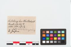 Etiketten zu Zahn (NHMW-PRAE-024930a)